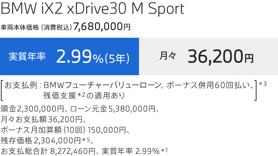 iX2 支払例