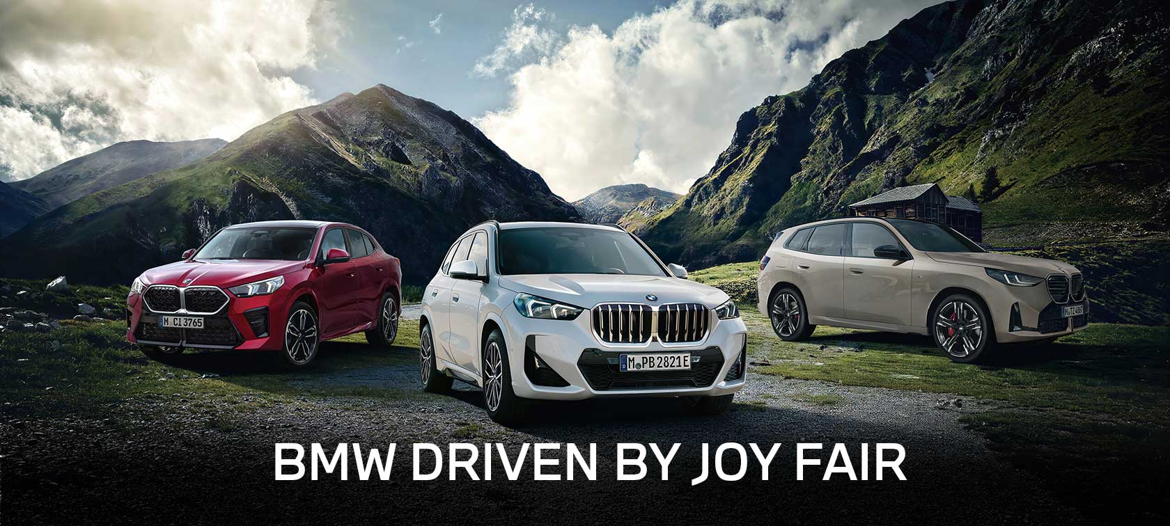 BMW DRIVEN BY JOY FAIR